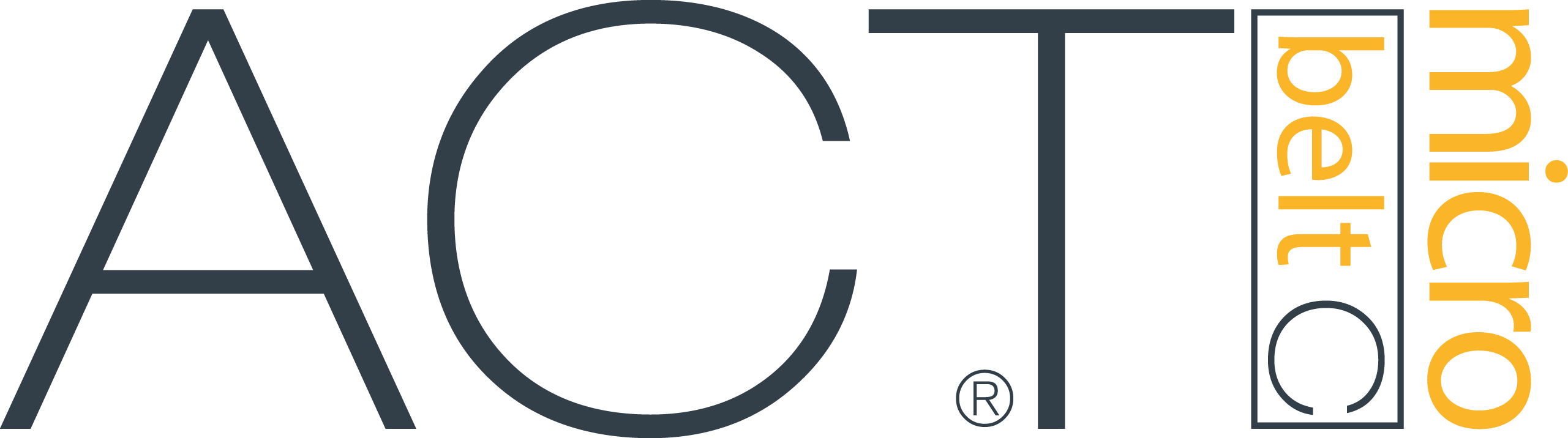 MICRO ACT C BELT logo