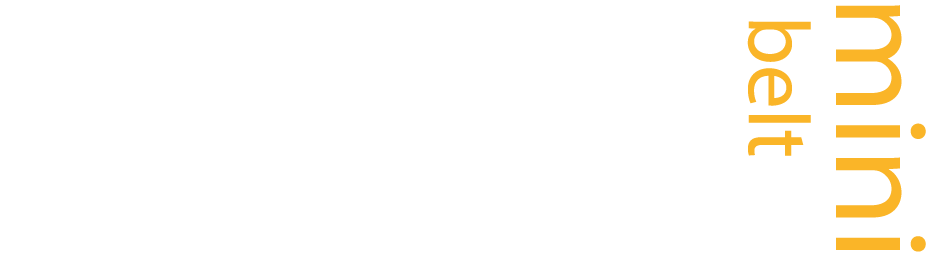 MINI ACT C BELT logo